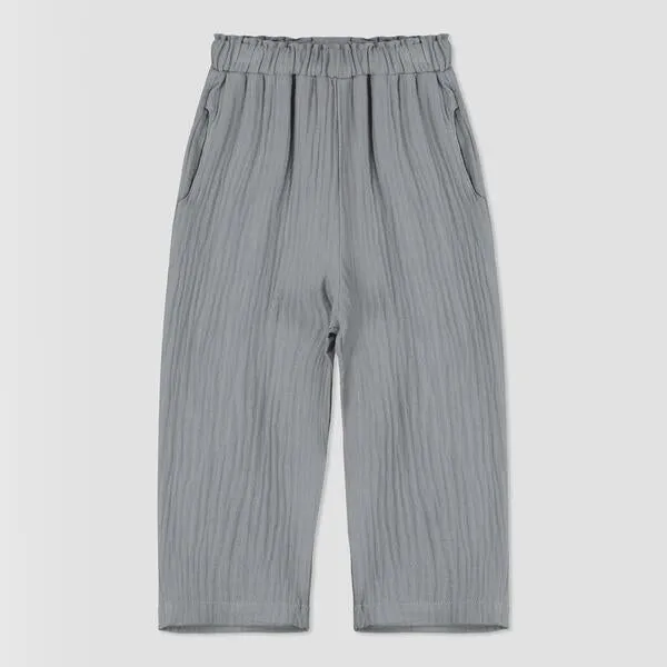 Noah pants in grey