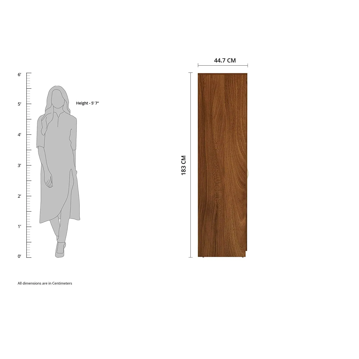 Solimo Medusa Engineered Wood Wardrobe Walnut Finish